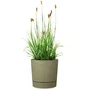 Garden ID Maceta con depósito redonda Ø 39 cm, 32 litros, altura 38 cm, material lino, color verde musgo
