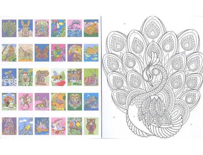 Susaeta Cuaderno de colorear animales por números 64 páginas 21,5x25 cm Susaeta Cuaderno de colorear animales por números 64 páginas 21,5x25 cm