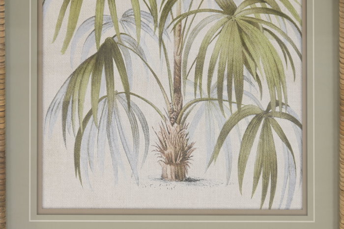 DKD Home Decor Cuadro Ratan Cristal Palmera Surtido de 4 Unidades