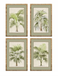 DKD Home Decor Cuadro Ratan Cristal Palmera Surtido de 4 Unidades