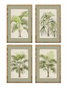 DKD Home Decor Cuadro Ratan Cristal Palmera Surtido de 4 Unidades