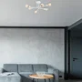 Xingcheng Lámpara de Techo OPV-521SHN3434 Diseño Moderno y Elegante