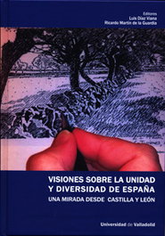 Visiones Sobre La Unidad Y Diversidad De España. Una Mirada Desde Castilla Y León, Luis Díaz Gonzalez De Viana/Ricardo Martin De La Guardia - UNIV.VALLADOLID