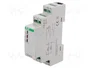 F&F CR-810 Interruptor motorizado 230VAC/24VDC SPDT