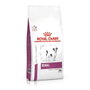 Royal Canin Canine Renal Small Dog 1,5 kg