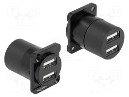 DeLOCK Módulo USB 2.0 Tipo-A 2 x hembra a 2 x hembra 87812