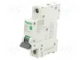 SCHNEIDER ELECTRIC Easy9 Pro MCB 25A 1P 6kA
