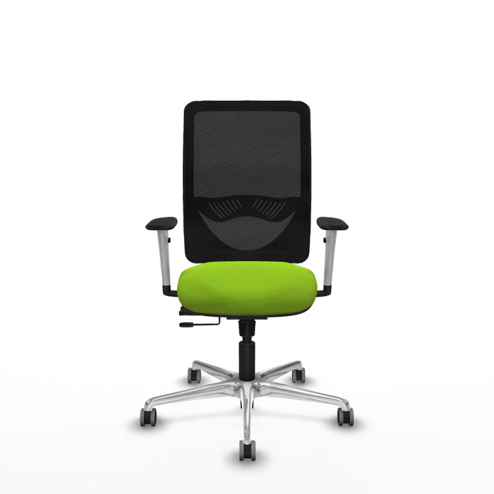 PIQUERAS Y CRESPO Silla de oficina Zulema con mecanismo Sincro/Traslack Pistacho y Negro PIQUERAS Y CRESPO Silla de oficina Zulema con mecanismo Sincro/Traslack Pistacho y Negro