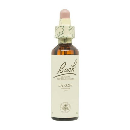 BACH Larch (Alerce) Nº19 20ml BACH Larch (Alerce) Nº19 20ml