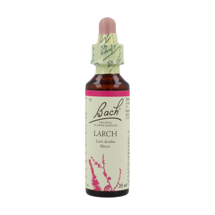 Bach Original Larch/Alerce N.º 19 20 ml Flores de Bach para la Confianza Bach Original Larch/Alerce N.º 19 20 ml Flores de Bach para la Confianza