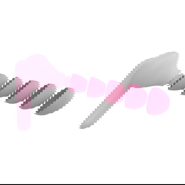 Belkin SoundForm Nano 2 Auriculares Inalámbricos para Niños con Estuche de Carga, IPX5, Bluetooth 5.3, Rosa - Ref. AUC011btPK