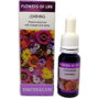 EQUISALUD Flower of Life Estudiantes 15ml