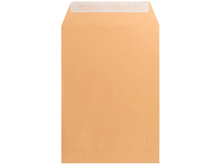 Liderpapel Bolsa N.6 Kraft 184x261mm Tira Silicona 250 Unidades Liderpapel Bolsa N.6 Kraft 184x261mm Tira Silicona 250 Unidades