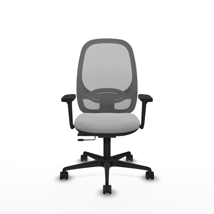 PIQUERAS Y CRESPO Silla de oficina Cilanco con mecanismo Sincro/Traslack, Gris PIQUERAS Y CRESPO Silla de oficina Cilanco con mecanismo Sincro/Traslack, Gris