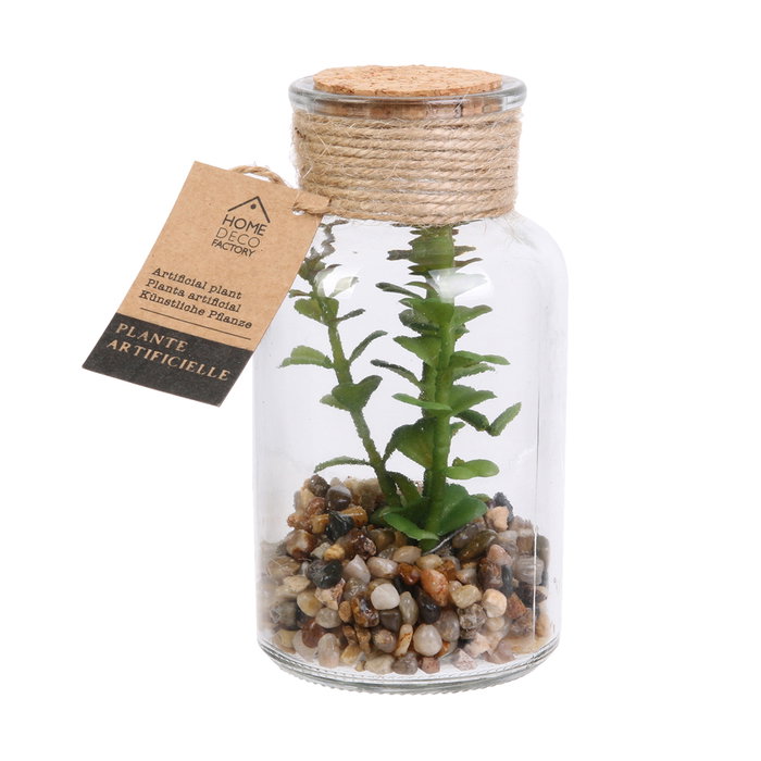 Home Deco Factory Planta Artificial con Frasco de Cristal y Tapón de Corcho Home Deco Factory Planta Artificial con Frasco de Cristal y Tapón de Corcho