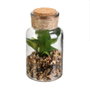 Home Deco Factory Planta Artificial con Frasco de Cristal y Tapón de Corcho
