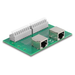 DeLOCK 66994 Adaptador 2 x RJ45 hembra a 2 x bloque de terminales con pulsador para carril DIN