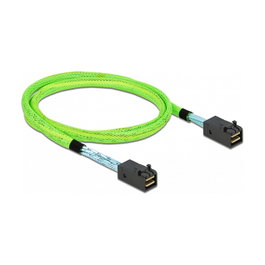 DeLOCK Cable Mini SAS HD SFF-8673 a SFF-8673 1 m