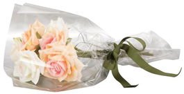 Papel De Regalo Bobina Colibri 60 Cm X 15 M Doble Transparente (Apto Para Alimentos)