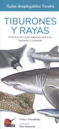 Tundra, Tiburones y rayas - Guías desplegables