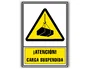 Archivo 2000 Pictograma Atencion Carga Suspendida PVC Amarillo Luminiscente 210x297 mm