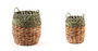 DKD Home Decor Set de 2 Cestas de Ratán Natural y Verde