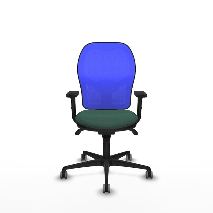 PIQUERAS Y CRESPO Silla de oficina Jorquera con mecanismo Sincro Verde botella y Azul PIQUERAS Y CRESPO Silla de oficina Jorquera con mecanismo Sincro Verde botella y Azul