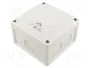 SPELSBERG ABOX-PRO-SL-4 Caja de conexiones gris
