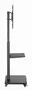 Gembird Soporte para TV Móvil TVS-75S-02 Negro (37''-75'')