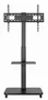 Gembird Soporte para TV Móvil TVS-75S-02 Negro (37''-75'')