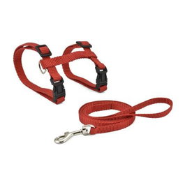 Nayeco Arnés y Correa para Gato Rojo (Set de 3)