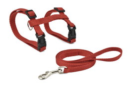 Nayeco Arnés y Correa para Gato Rojo (Set de 3)