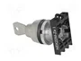 PROMET Interruptor rotativo con llave NEK22M-ZA1 22mm gris