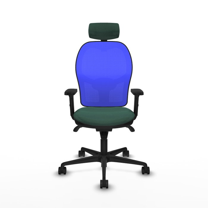 PIQUERAS Y CRESPO Silla de oficina Jorquera con mecanismo Sincro, Tela Verde botella y Malla Azul