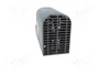 STEGO CSF 060 Elemento Calefactor con Termostato 150W