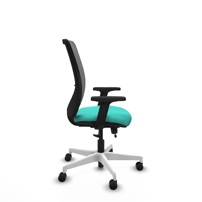 PIQUERAS Y CRESPO Silla de oficina Zulema con mecanismo Sincro/Traslack, Turquesa y Gris PIQUERAS Y CRESPO Silla de oficina Zulema con mecanismo Sincro/Traslack, Turquesa y Gris