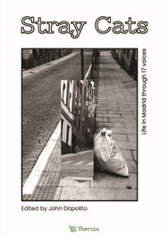 Stray Cats, John Dapolito - YBERNIA EDITORIAL