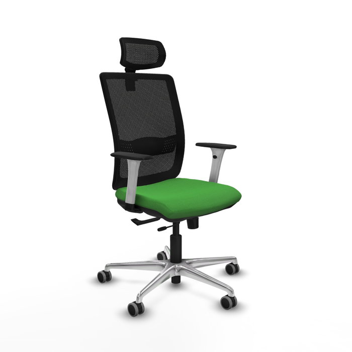 PIQUERAS Y CRESPO Silla de oficina Haches con mecanismo Sincro/Traslack Verde y Negro PIQUERAS Y CRESPO Silla de oficina Haches con mecanismo Sincro/Traslack Verde y Negro