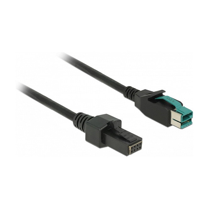 DeLOCK Cable PoweredUSB 12 V a 2 x 4 Pin, 3 m