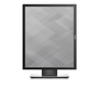 DELL P1917S Monitor 19 inch SXGA IPS Negro