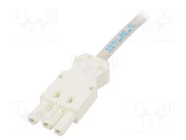 STEGO Cable de alimentación 121/122 hembra blanco 4m 3x1,5mm2