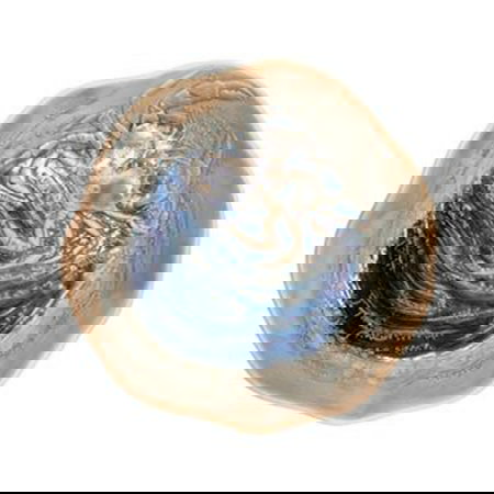 SUMMA Plato Hondo Vajilla de Gres Mar Azul con Diseño de Cangrejo, Diámetro 24 cm x 4 cm Alto (Set de 6)