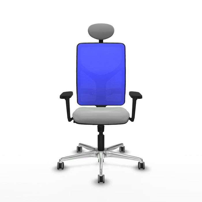 PIQUERAS Y CRESPO Silla de oficina Motilla con mecanismo Sincro, Gris claro y Azul