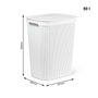 Rotho Brisen Contenedor Rectangular de Plástico Blanco 50 l