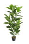 DKD Home Decor Planta Verde 40 x 40 x 120 cm
