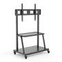 Ewent EW1541 Soporte Móvil para Pantalla de hasta 120 pulgadas