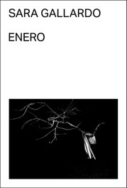 Enero, Sara Gallardo Drago Mitre - MALAS TIERRAS
