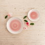Quid Plato Hondo Rose Velvet Neo 20cm Rosa