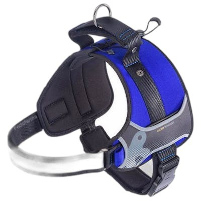 Ferplast Arnés Hercules Large Azul