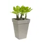 Elho Planta contenedor cuadrado alto 37 cm Blanco
